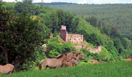 HOTEL GASTHOF ZUR KRONE Oberzent