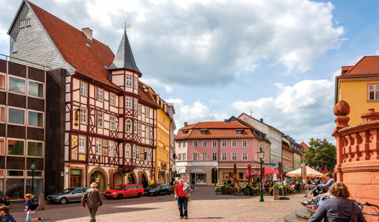 GASTHOF ZUM GOLDENEN STERN Ehrenberg