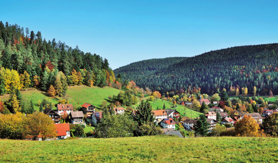 HOTEL SCHWARZWALDHOF Enzklösterle