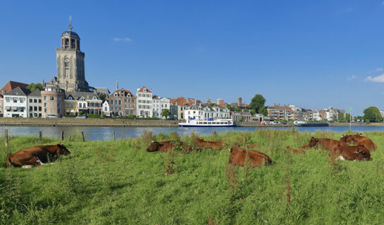 FLETCHER HOTEL-RESTAURANT SALLANDSE HEUVELRUG Rijssen