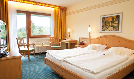 WALDHOTEL WILLINGEN Willingen