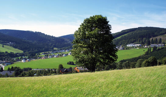 WALDHOTEL WILLINGEN Willingen (Upland)