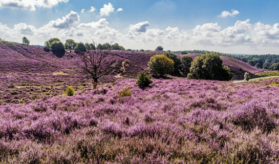 FLETCHER HOTEL-RESTAURANT MOOI VELUWE Putten