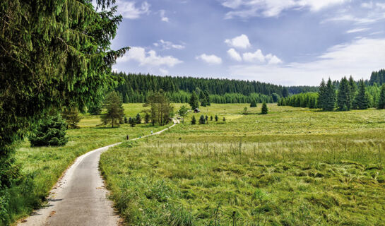 LANDGASTHOF WEMMER Großrückerswalde