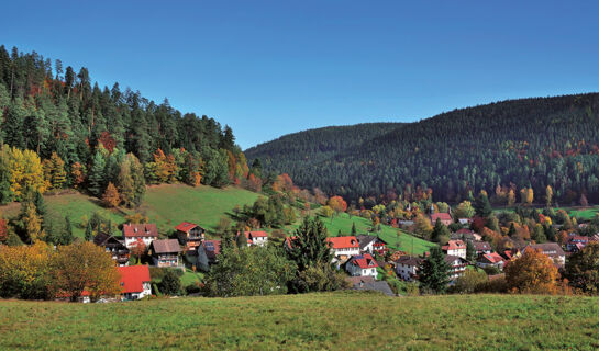 HOTEL-RESTAURANT SCHWARZWALD SONNENHOF Schömberg