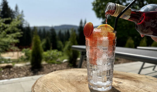 MAIERS HOTEL-RESORT Bayerisch Eisenstein