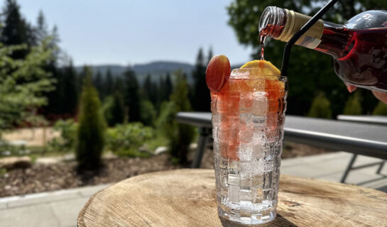 MAIERS HOTEL-RESORT Eisenstein