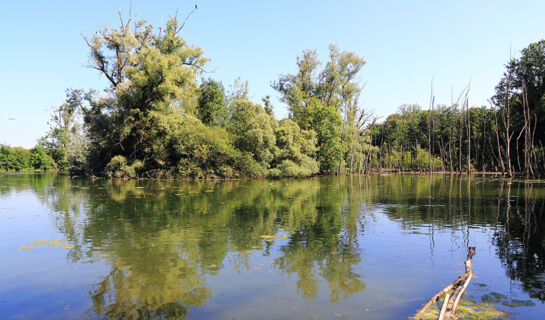 AU LION ROUGE bartenheim