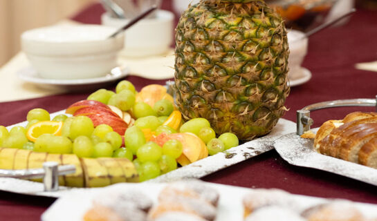 WELLNESS HOTEL JEAN DE CARRO Karlsbad