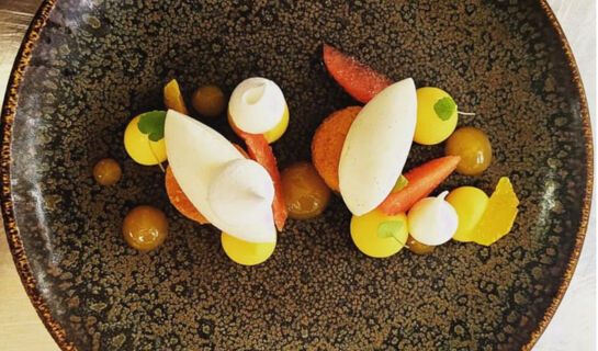 LE ROY SOLEIL Menerbes