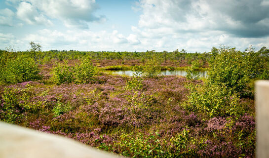 LANDHOTEL 
