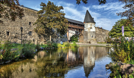 HOTEL RHEINISCHER HOF Bad Breisig