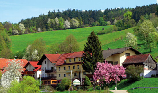 HOTEL GASTHOF ZUR KRONE Oberzent