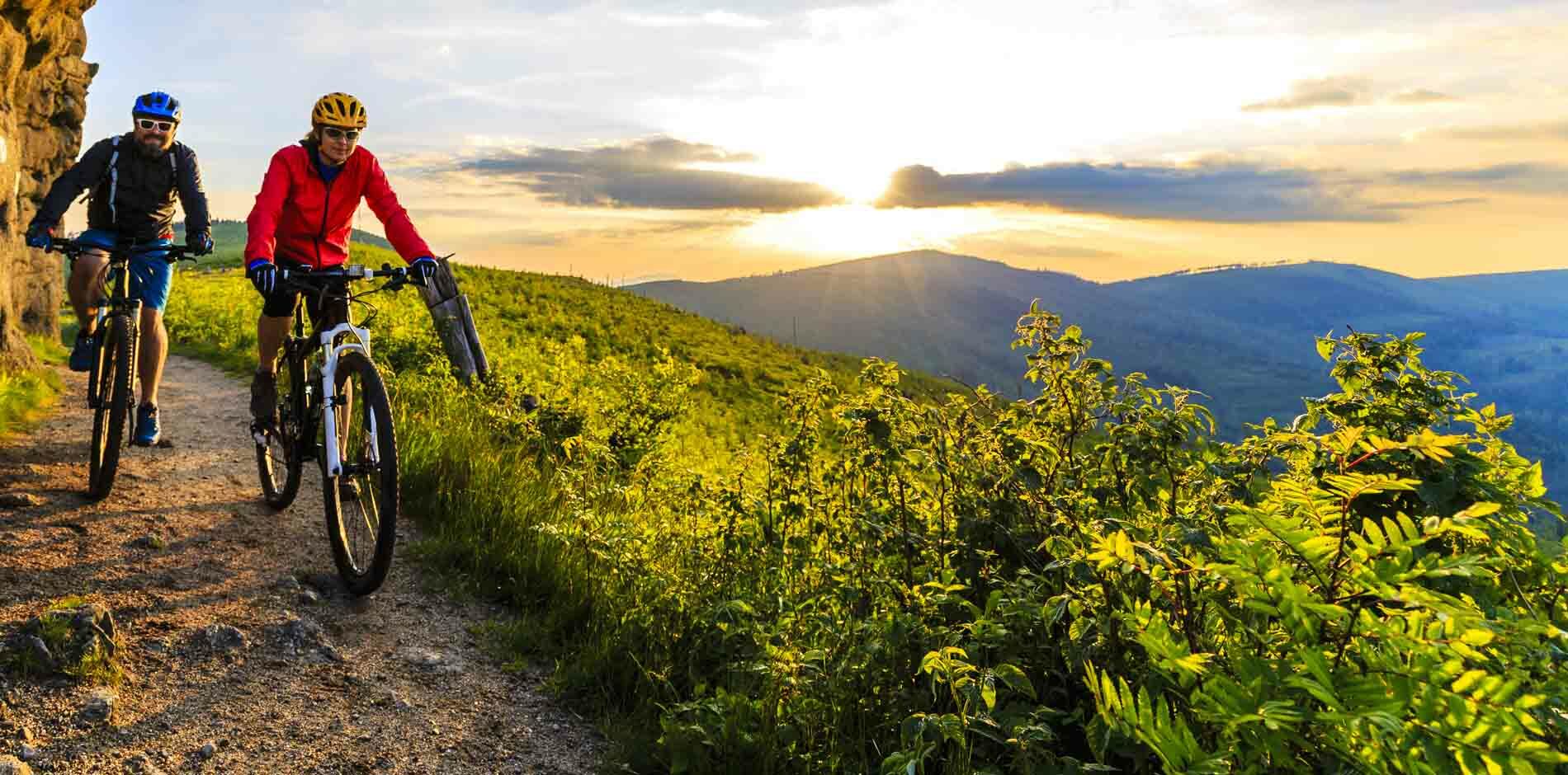 Vélo/ VTT