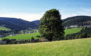 URLAUBS- UND WELLNESSHOTEL FRIEDERIKE Willingen (Upland)