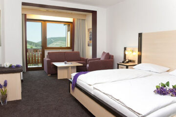 WALDHOTEL WILLINGEN Willingen (Upland)