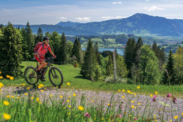 HIERLHOF (B&B) Immenstadt im Allgäu