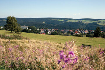 WERRAPARK RESORT HOTEL FRANKENBLICK Masserberg