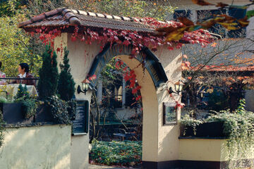 LANDHOTEL NIEDERTHÄLER HOF Schlossböckelheim