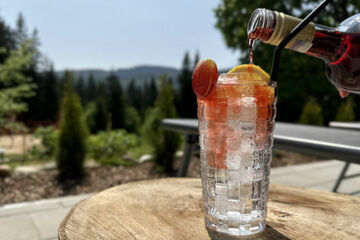 MAIERS HOTEL-RESORT Eisenstein