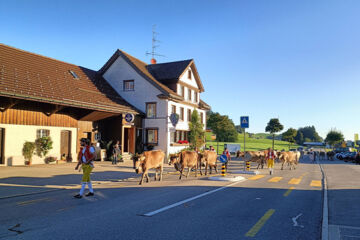 HOTEL GARNI TRAUBE (B&B) Schwellbrunn