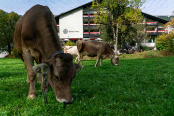 HOTEL SÄNTIS LODGE (B&B) Unterwasser