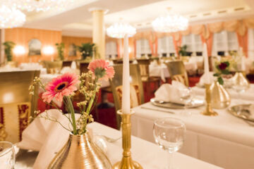 HOTEL ALEXANDRA Plauen