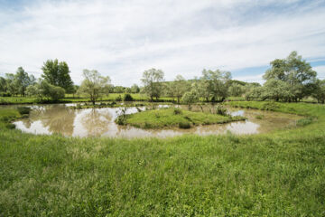 AU LION ROUGE Bartenheim