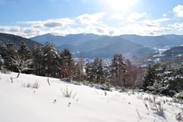 AUBERGE DU MEHRBACHEL Saint-Amarin