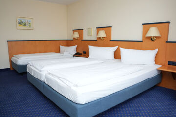 RHEINHOTEL RÜDESHEIM Rüdesheim
