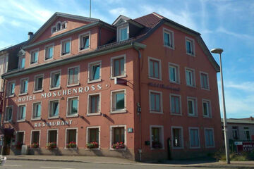 LE MOSCHENROSS Thann