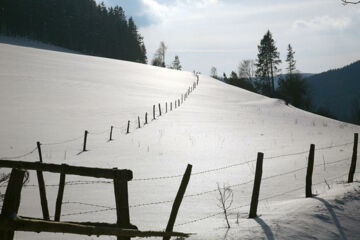 URLAUBS- UND WELLNESSHOTEL FRIEDERIKE Willingen (Upland)