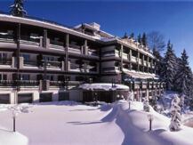 HÔTEL DE LA FORÊT (B&B) Crans-Montana